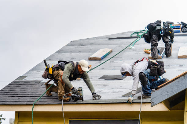 Professional Roof Repair technician working in South Rockwood, MI